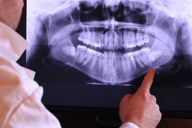 Best Emergency X-Rays and Diagnostics in Talty, TX